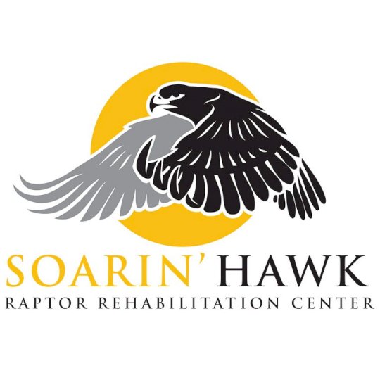 Logo for Soarin’ Hawk