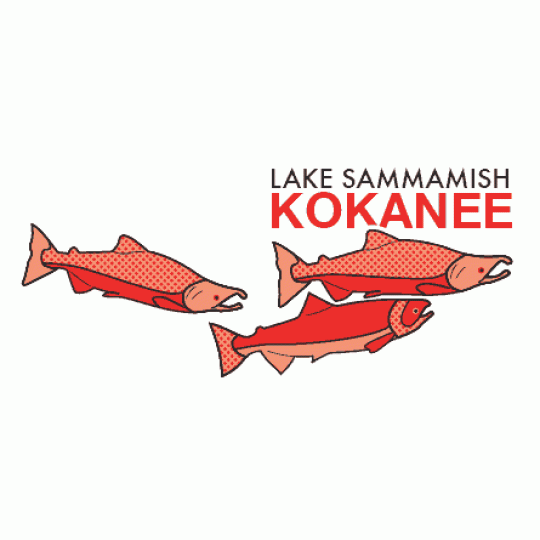 Logo for Lake Sammamish Kokanee