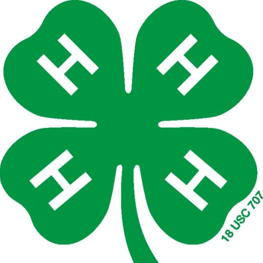 Logo for Effingham County 4-H