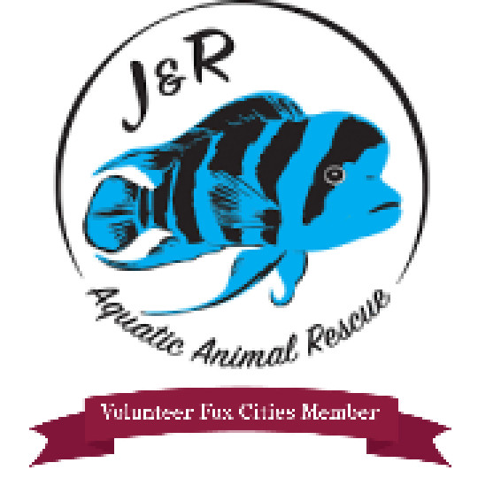 Logo for J&R Aquatic Animal Rescue