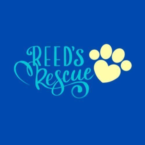 Logo for Reed’s Rescue