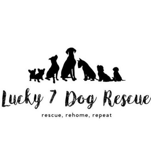 Logo for Lucky 7 Dog Rescue