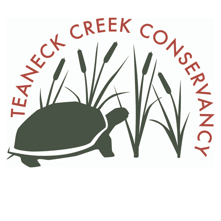 Logo for Teaneck Creek Conservancy