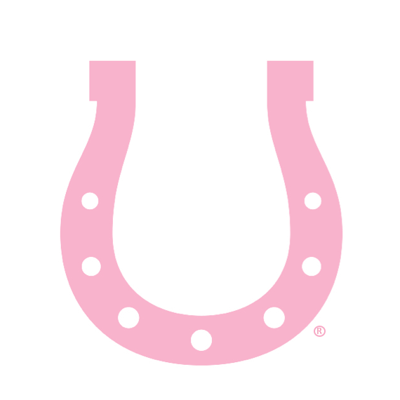 Logo for Bridle Up Hope